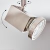 Danil Plafonnier, Spot de plafond LED Nickel mat, 4 lumières