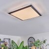 Castasegna Plafonnier, Panel LED Noir, Blanc, 1 lumière