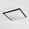 Castasegna Plafonnier, Panel LED Noir, Blanc, 1 lumière
