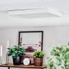 Finsrud Plafonnier, Panel LED Blanc, 1 lumière