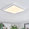 Finsrud Plafonnier, Panel LED Blanc, 1 lumière