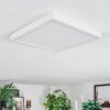 Finsrud Plafonnier, Panel LED Blanc, 1 lumière