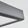 Finsrud Plafonnier, Panel LED Noir, 1 lumière