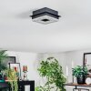 Walon Plafonnier LED Noir, 1 lumière