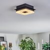 Walon Plafonnier LED Noir, 1 lumière