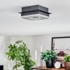 Walon Plafonnier LED Noir, 1 lumière