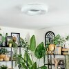 Zuril Plafonnier LED Blanc, 1 lumière, Télécommandes