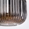Trion Suspension, Suspension Noir, 1 lumière
