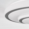 Borin Plafonnier LED Gris, Blanc, 1 lumière