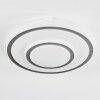 Borin Plafonnier LED Gris, Blanc, 1 lumière