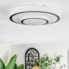 Borin Plafonnier LED Gris, Blanc, 1 lumière