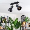 Tylar Plafonnier, Spot de plafond Noir, 2 lumières