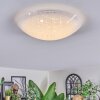Ferli Plafonnier LED Blanc, 1 lumière