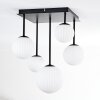 Chehalis Plafonnier, Boule lumineuse Blanc, 5 lumières