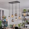 Ripoll Suspension, Boule lumineuse, Suspension Ambre, Clair, Fumé, 6 lumières