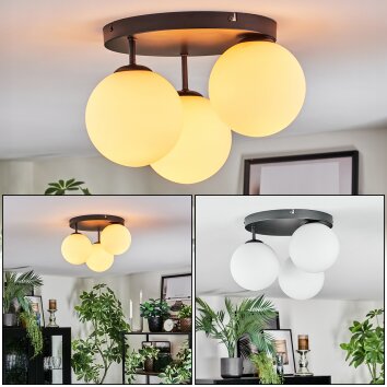 Gastor Plafonnier, Boule lumineuse Blanc, 3 lumières Gastor Plafonnier, Boule lumineuse Blanc, 3 lumières