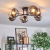Gastor Plafonnier, Boule lumineuse Chrome, Clair, Fumé, 6 lumières