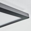 Zuren Plafonnier, Panel LED Noir, 1 lumière, Changeur de couleurs