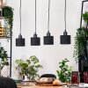 Bassagoda Suspension, Suspension Écru, Noir, 4 lumières