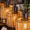Cando Suspension, Suspension Écru, Noir, 4 lumières