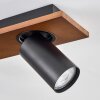 Dalan Plafonnier, Spot de plafond LED Écru, Noir, 2 lumières