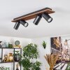 Dalan Plafonnier, Spot de plafond LED Écru, Noir, 4 lumières