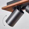Dalan Plafonnier, Spot de plafond LED Écru, Noir, 4 lumières
