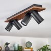 Dalan Plafonnier, Spot de plafond LED Écru, Noir, 4 lumières
