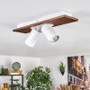 Dalan Plafonnier, Spot de plafond LED Écru, Blanc, 2 lumières