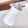 Dalan Plafonnier, Spot de plafond LED Écru, Blanc, 2 lumières