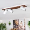 Dalan Plafonnier, Spot de plafond LED Écru, Blanc, 3 lumières