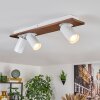 Dalan Plafonnier, Spot de plafond LED Écru, Blanc, 3 lumières