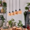 Granja Suspension, Suspension Écru, Noir, 4 lumières