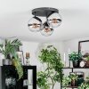 Gastor Plafonnier, Boule lumineuse Chrome, Clair, Fumé, 3 lumières