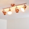 Plafonnier Tina Cuivre, 4 lumières