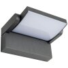 Applique murale d'extérieur AEG Grady LED Anthracite, 1 lumière
