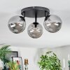 Chehalis Plafonnier, Boule lumineuse Fumé, 3 lumières