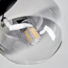 Chehalis Plafonnier, Boule lumineuse Clair, Fumé, 3 lumières