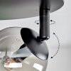 Chehalis Plafonnier, Boule lumineuse Fumé, 3 lumières