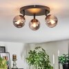 Chehalis Plafonnier, Boule lumineuse Fumé, 3 lumières