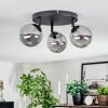 Chehalis Plafonnier, Boule lumineuse Fumé, 3 lumières