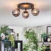 Chehalis Plafonnier, Boule lumineuse Fumé, 3 lumières