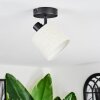 Bassagoda Plafonnier, Spot de plafond Noir, 1 lumière
