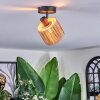 Granja Plafonnier, Spot de plafond Noir, 1 lumière