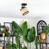 Ramila Plafonnier, Spot de plafond Noir, 1 lumière