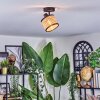 Ramila Plafonnier, Spot de plafond Noir, 1 lumière