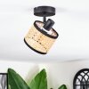Ramila Plafonnier, Spot de plafond Noir, 1 lumière