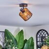 Cando Plafonnier, Spot de plafond Noir, 1 lumière