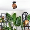 Cando Plafonnier, Spot de plafond Noir, 1 lumière