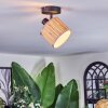 Bongal Plafonnier, Spot de plafond Noir, 1 lumière